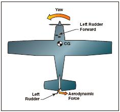 Flight Training Rudder